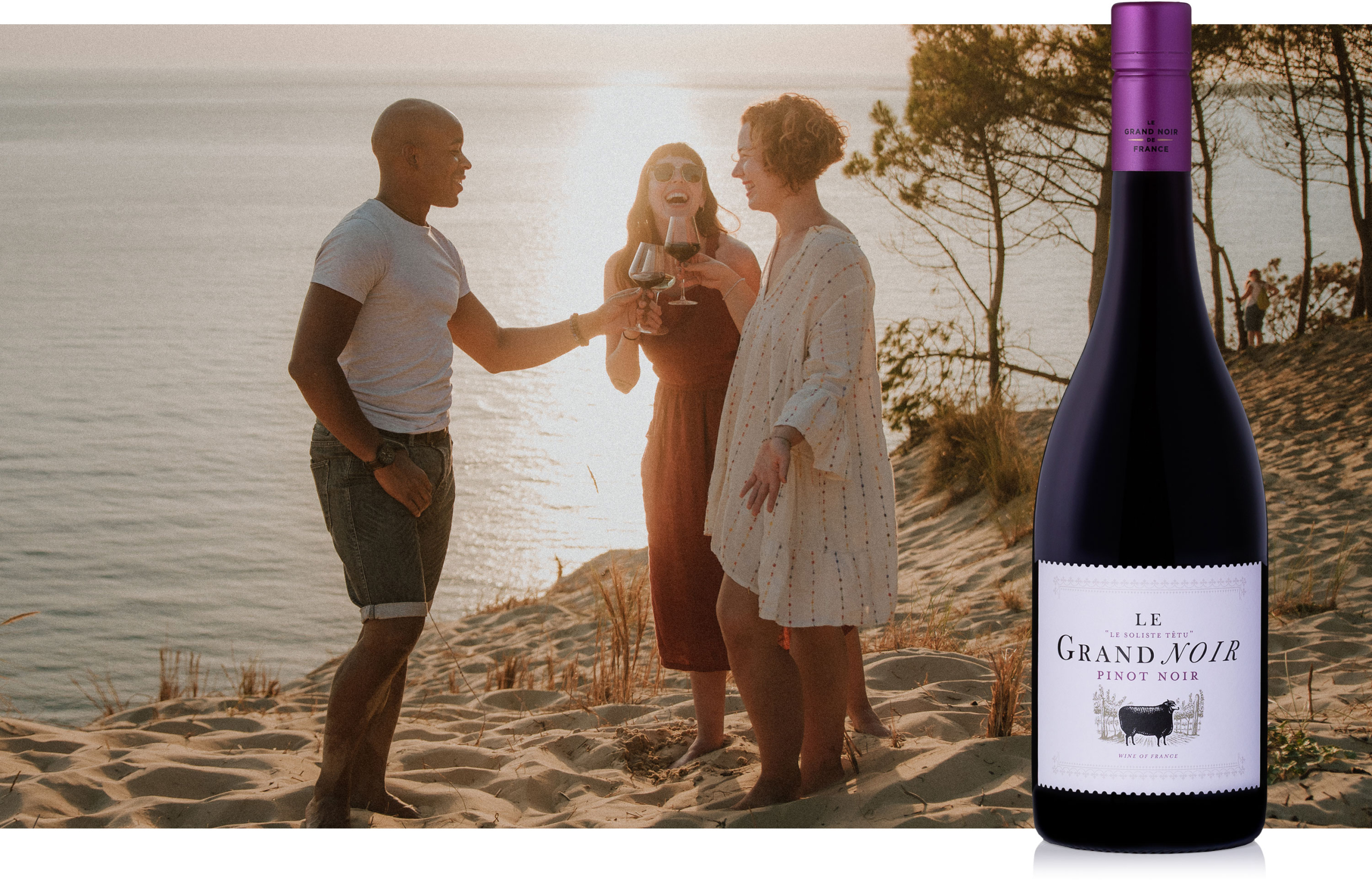 home_page_pinotnoir_beach2