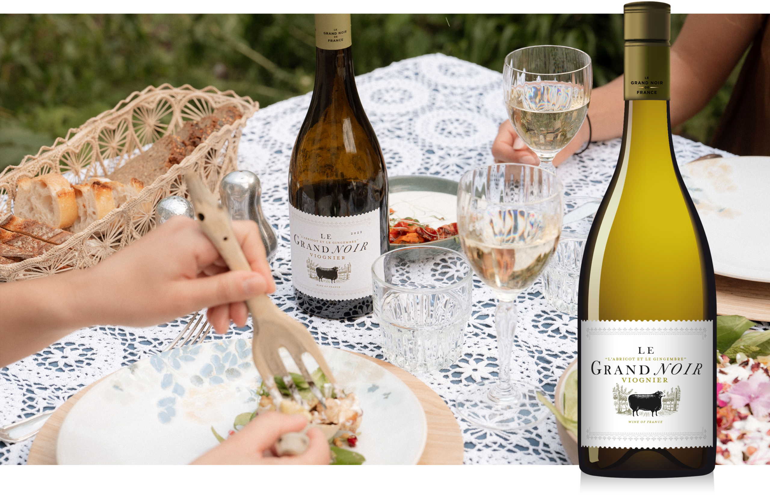 home_page_viognier_21.01.25